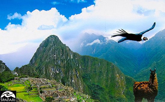 South America: Peru